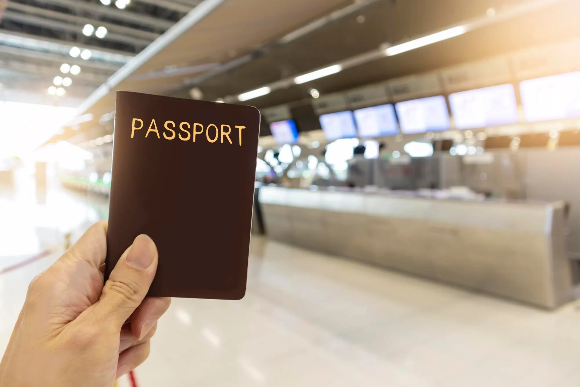 Borderless Visa — Immigration consultant website design preview