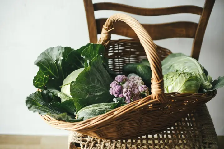 FarmFresh Organics website design