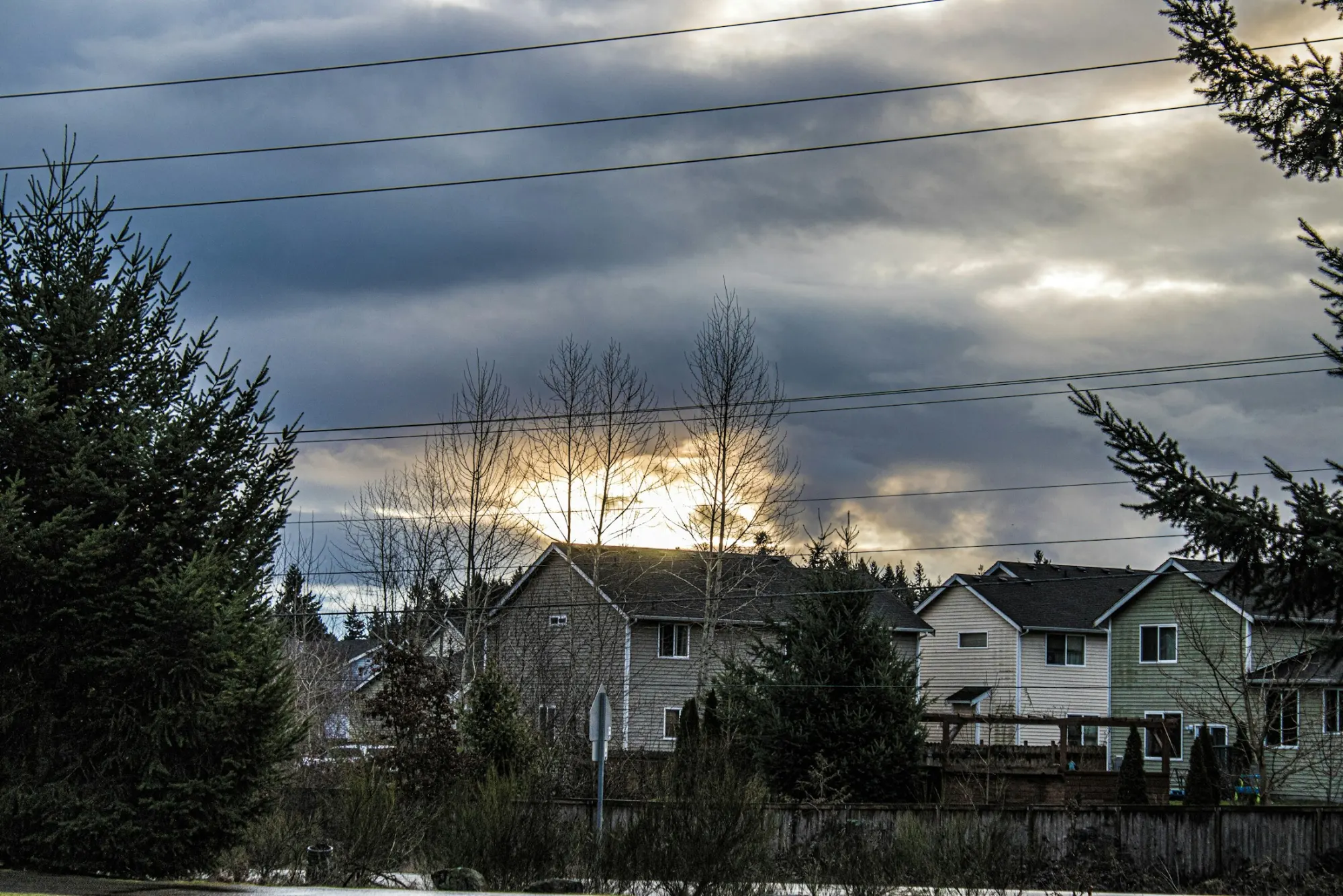 Stormline Roofing & Restoration — Roofing company website design preview